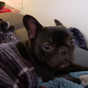 Meet your Posher, Kaitlin